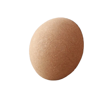 Half Ball Balance Board – Semicircle Trainer